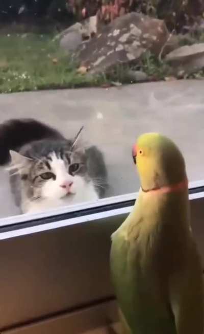 the most extreme peekaboo game ever!😂😂