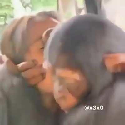 Sad Story :( (Praise Spez)