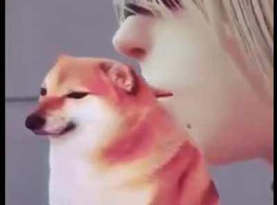 Cheems twitching because of girl's affection.