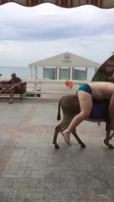 Nothing to see here...