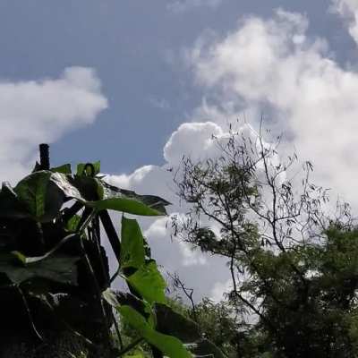 My favorite kind of rain.