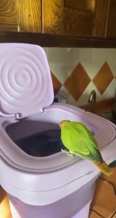 No thought process behind those eyes