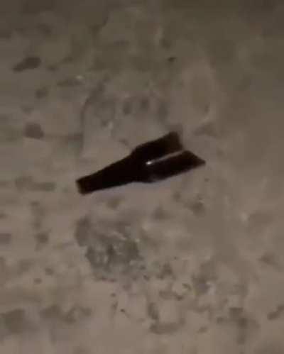 cursed_killing tactics