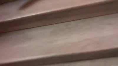 Protestors have entered the Capitol.