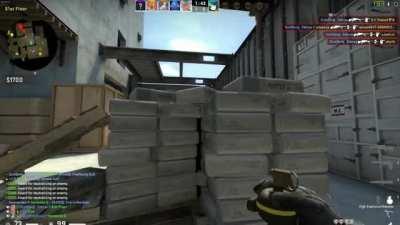 The Most Satisfying Headshot