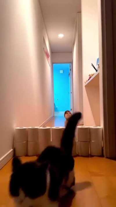 they gato this for sure