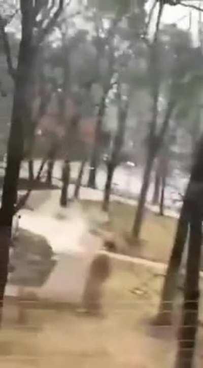 Russian troops shoot the Afghan war monument in the suburbs of Kyiv, Ukraine, taking it for a Ukrainian army APC.