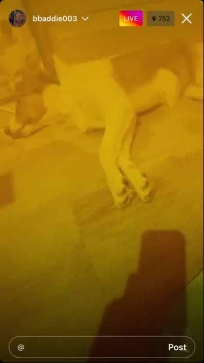 That fat one I think