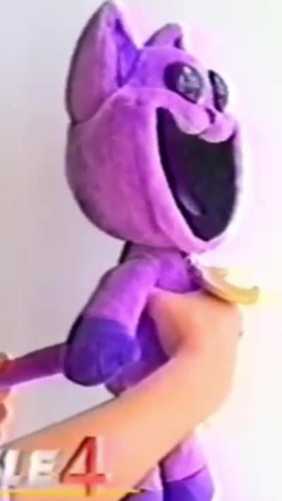 Why CatNap RALLY got recalled!