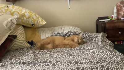 He acts his dreams out