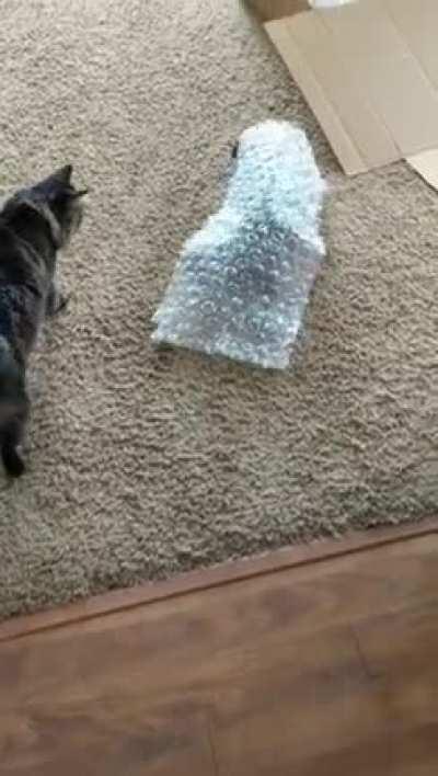 All that effort for nothing