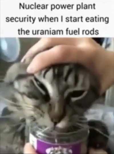 the temptations took over. maybe i ate too much this time