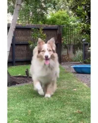 Best friends forever