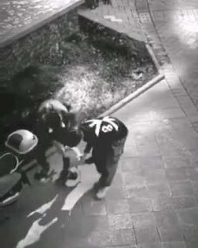 dog being dude with dudes