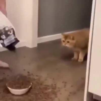 Человек, ты ебанулся?