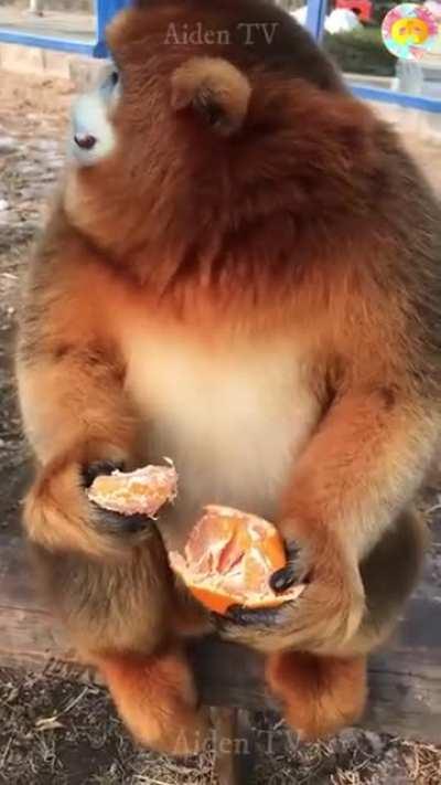 Побольше молоты вам друзья