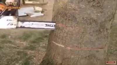 This kids cry is the best