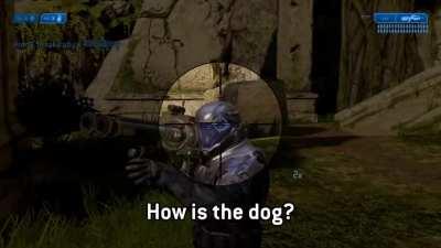 Yesyesyesyesno message from a halo 2 marine to his wife