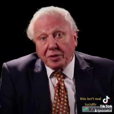 David Attenborough discusses vapes
