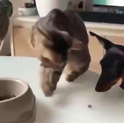 Alright, you may have just one.