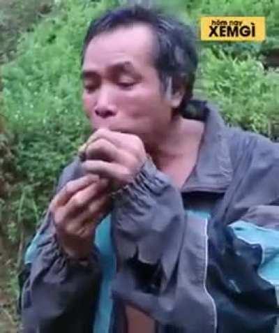 Average Bulgarian delicacy