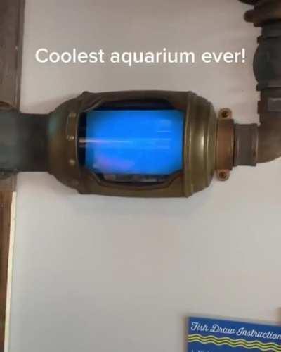 This aquarium allows kids to see the fish they drew inside it!