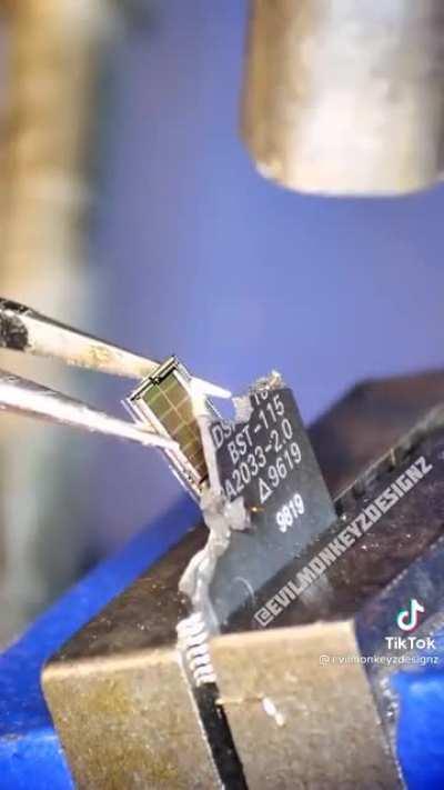 A chip with sonic on it.