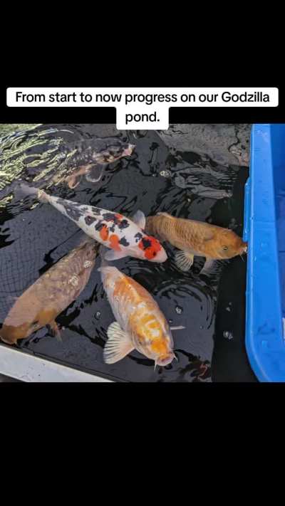 Time goes by quickly