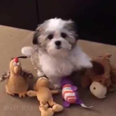 Who's your best friend?