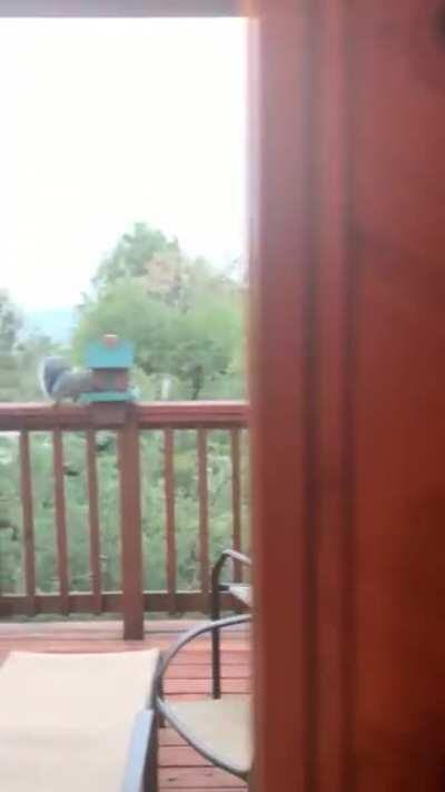 Met a celebrity at the Airbnb I went to