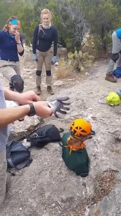 Thats some tight squeeze