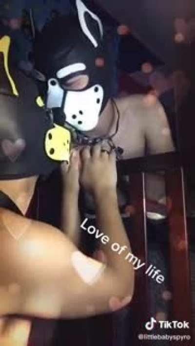 They auditioned for the 