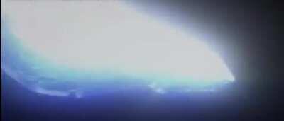 Ofishal subredit video!!!!1!!!!!11!!