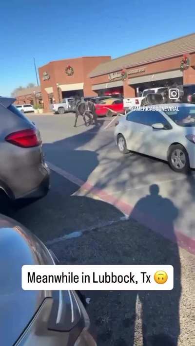 Of a Christmas carriage ride