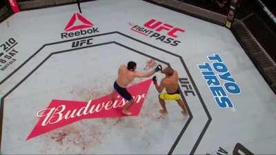Edson Barboza showcasing his deadly kicking game against various opponents