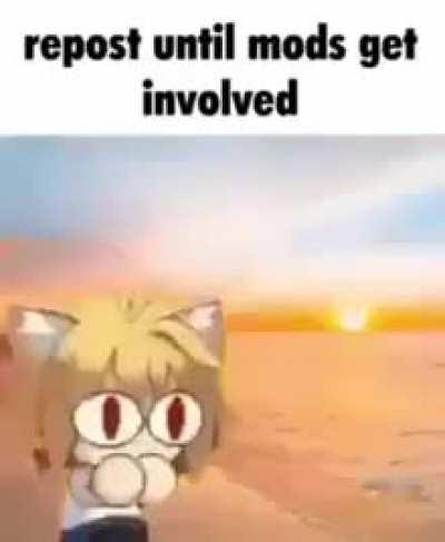 The gift that keeps on giving 