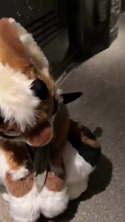 PSA: do not pet stray dragons (@dragonbubbletea on Twitter)