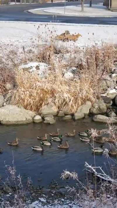 Stumbled across something i think I wasn't supposed to see...