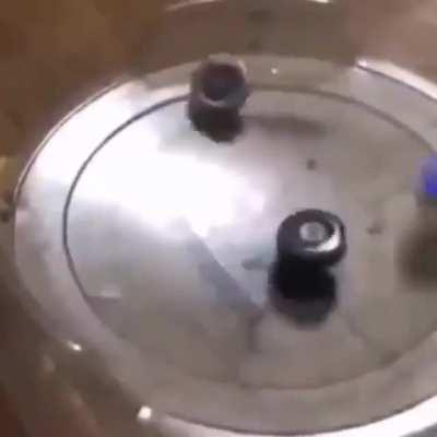 A true bayblade master