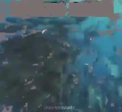 aquatik monke😳😳💦