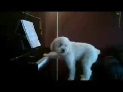 The neighbors complained about noise, so he set up a nanny cam