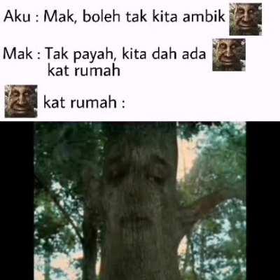 Pokok Mistik Bijaksana