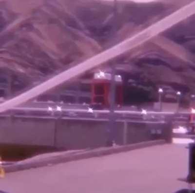 i love the salmon cannon by whooshh. like seriously perfect company name for a perfect company. i love salmon so much. like i LOVE salmon look they are so perfect ahhhhhhhhh