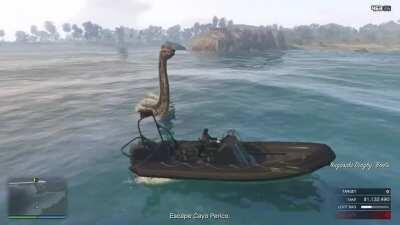 Never seen this thing up close before