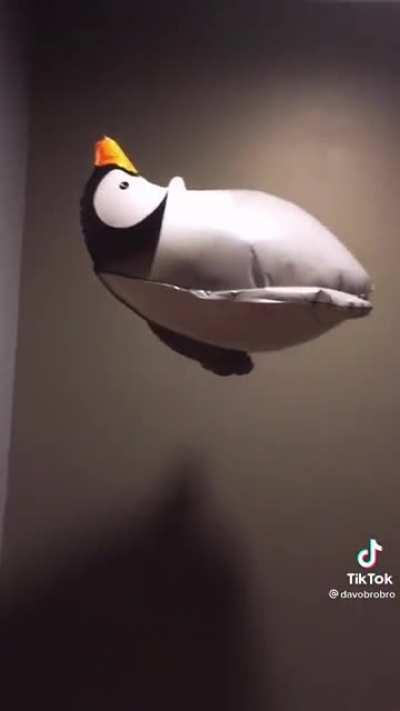 Pingu 𝘼 𝙎 𝘾 𝙀 𝙉 𝘿 𝙎