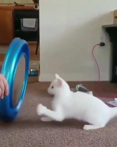 Round And Round It Goes... Where It Stops Nobody Knows