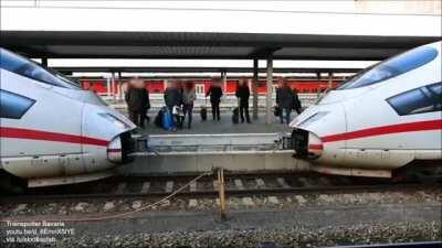 Bitch, gimme some loven