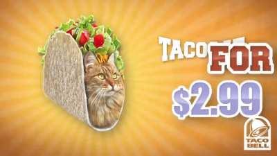 Taco cat :3