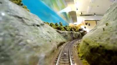 monSteR fElIne REPEatedLy slaUGHteRS trAInloads OF InNocEnT PEoPle