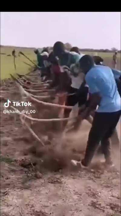 La mia migliore farm su minecraft